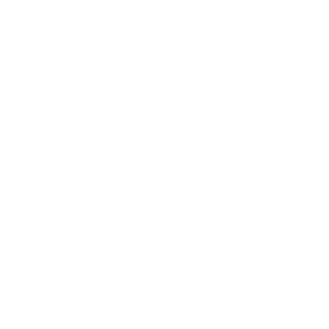 Rehabilitación Geriátrica